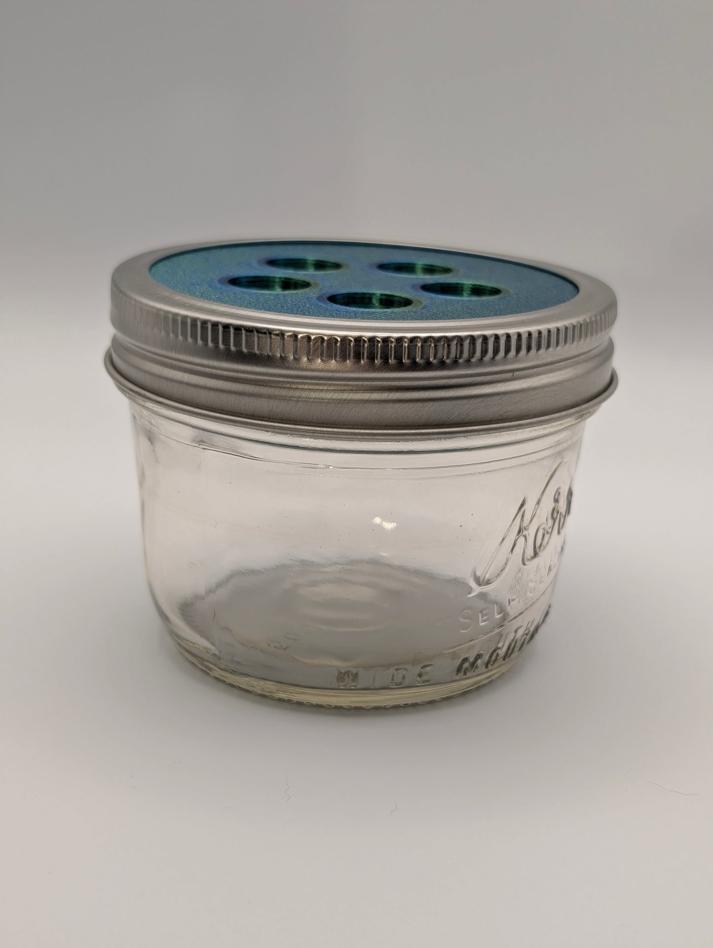 Fruit Fly Trap