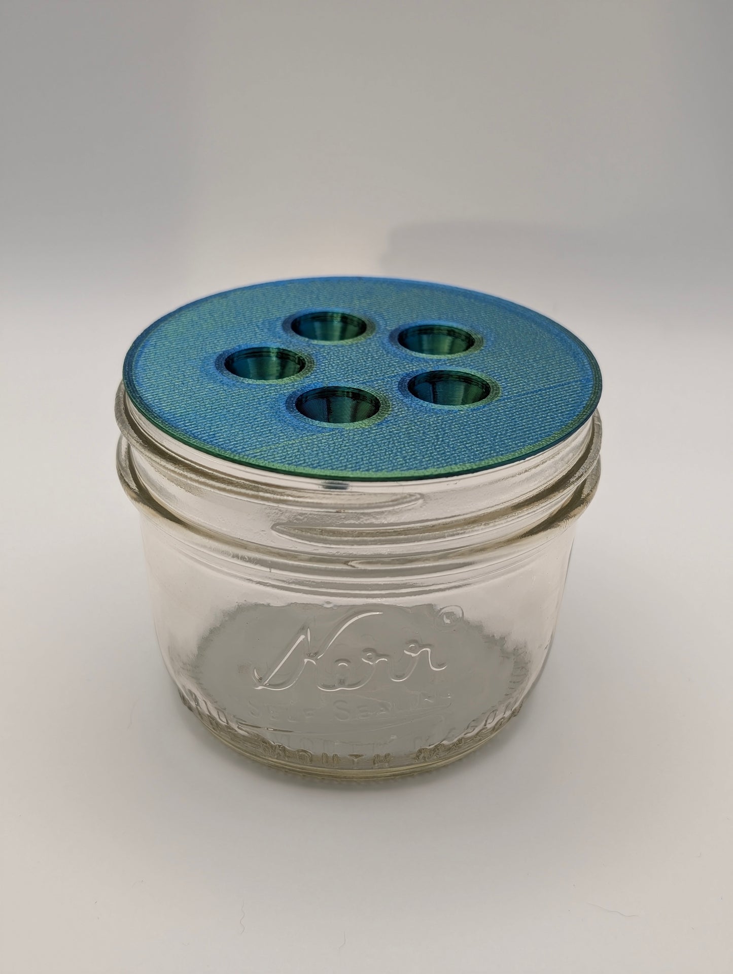 Fruit Fly Trap