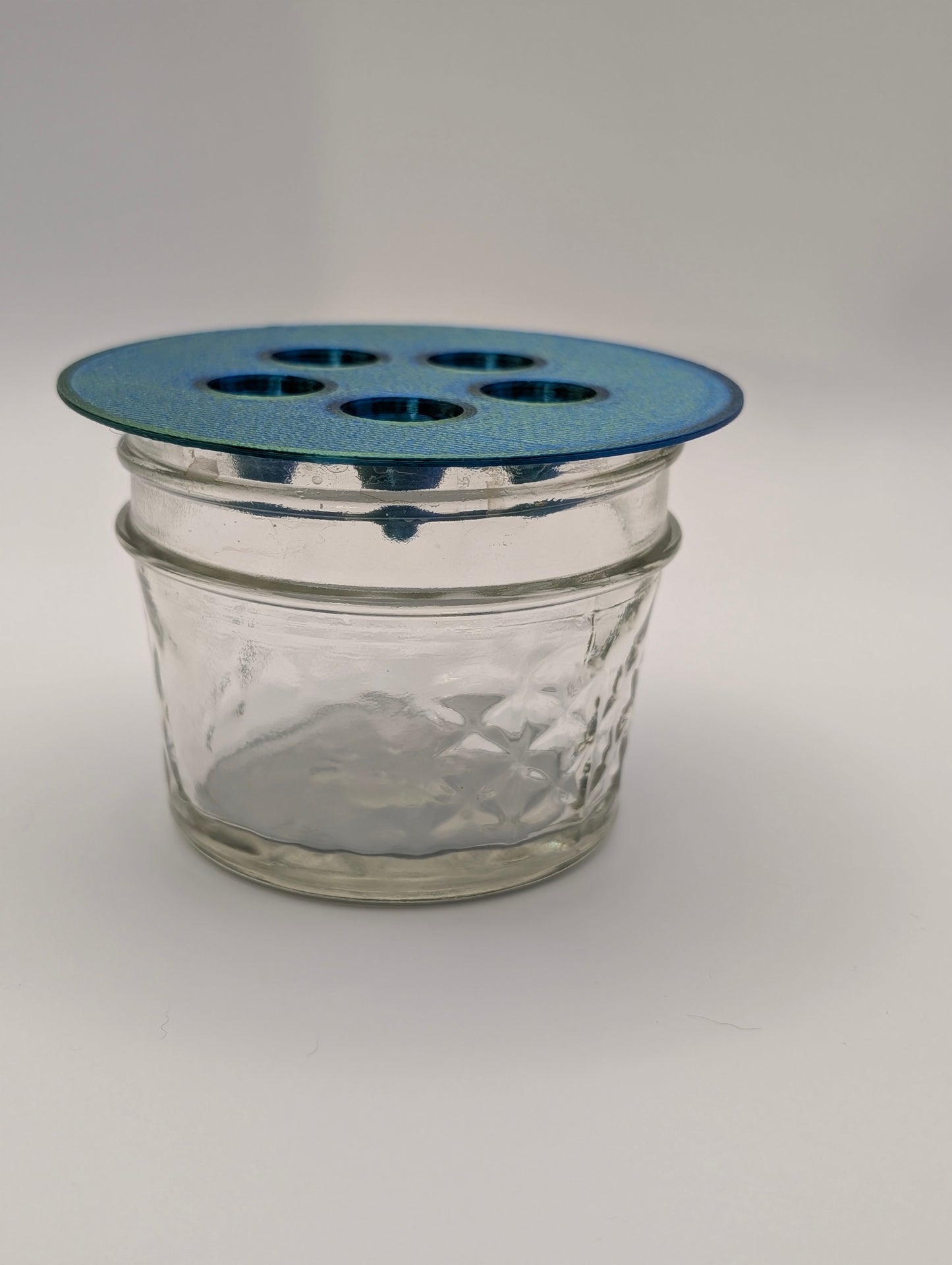 Fruit Fly Trap