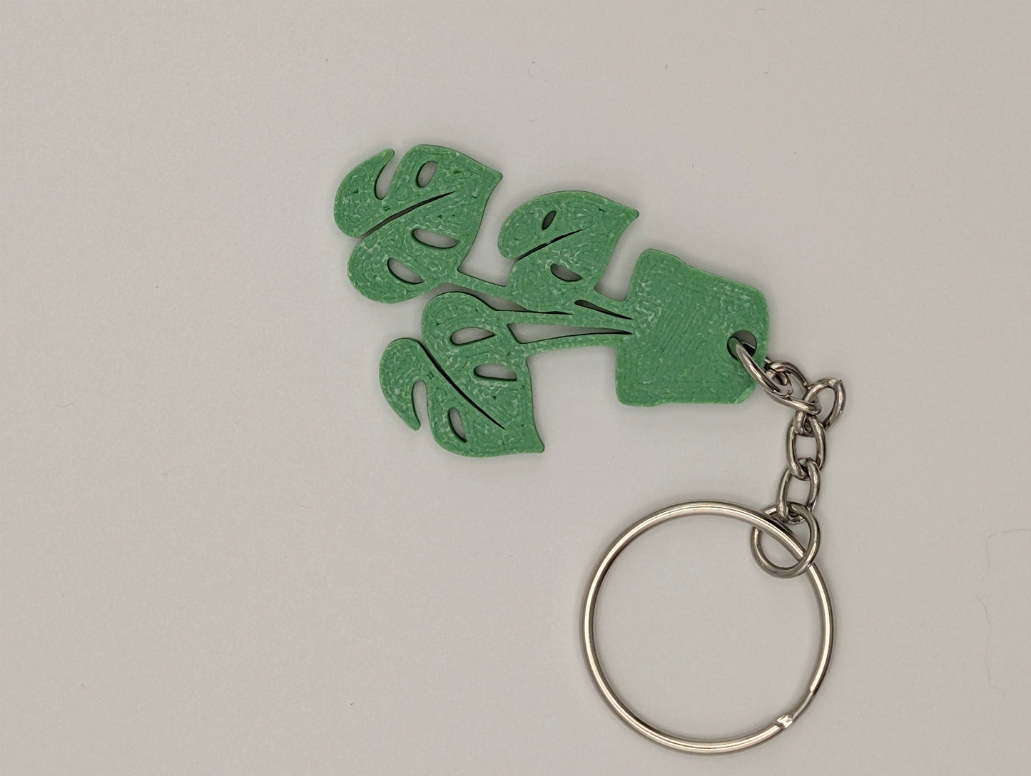 Monstera Plant Keychain