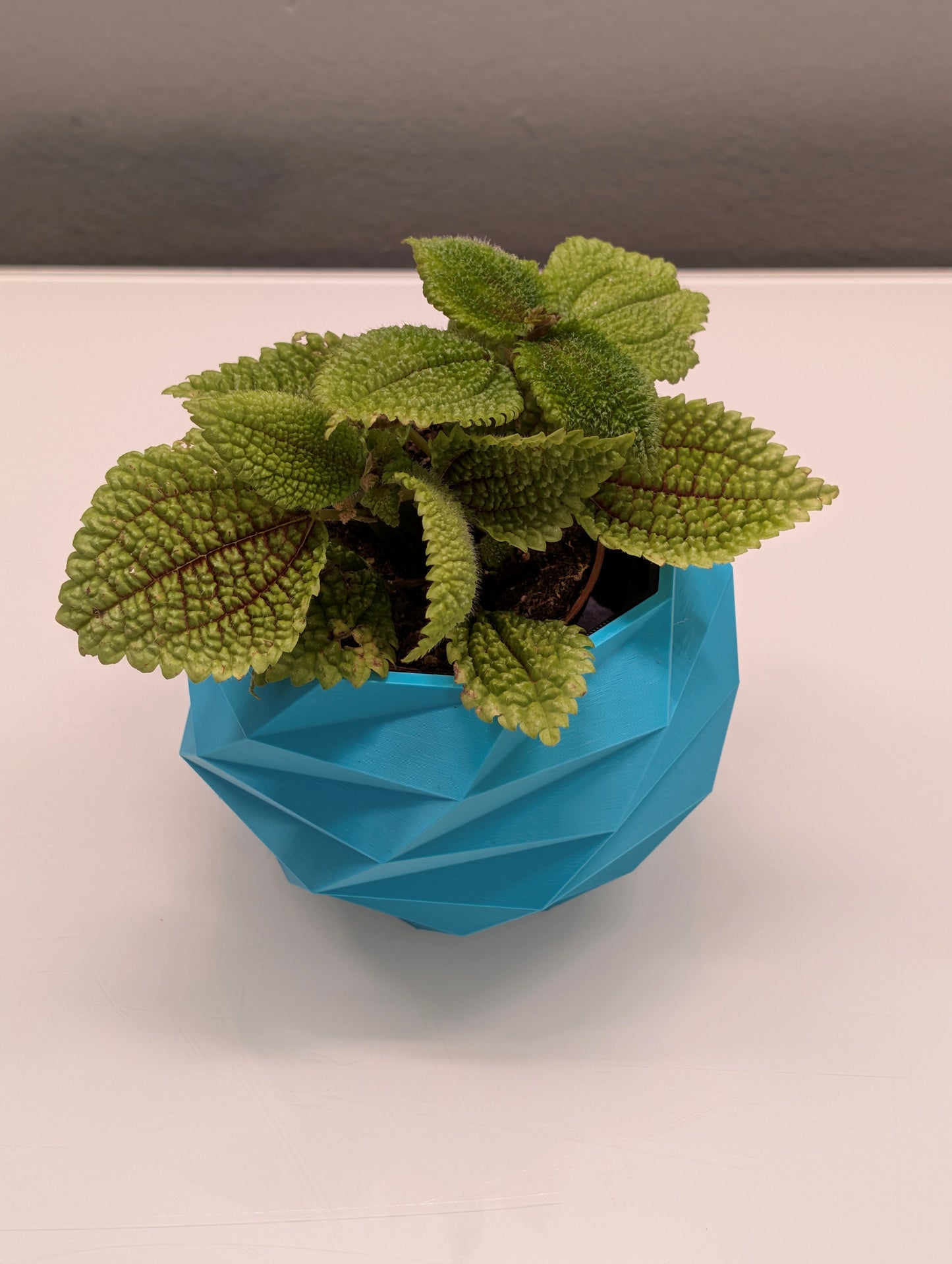 Octagonal Planter