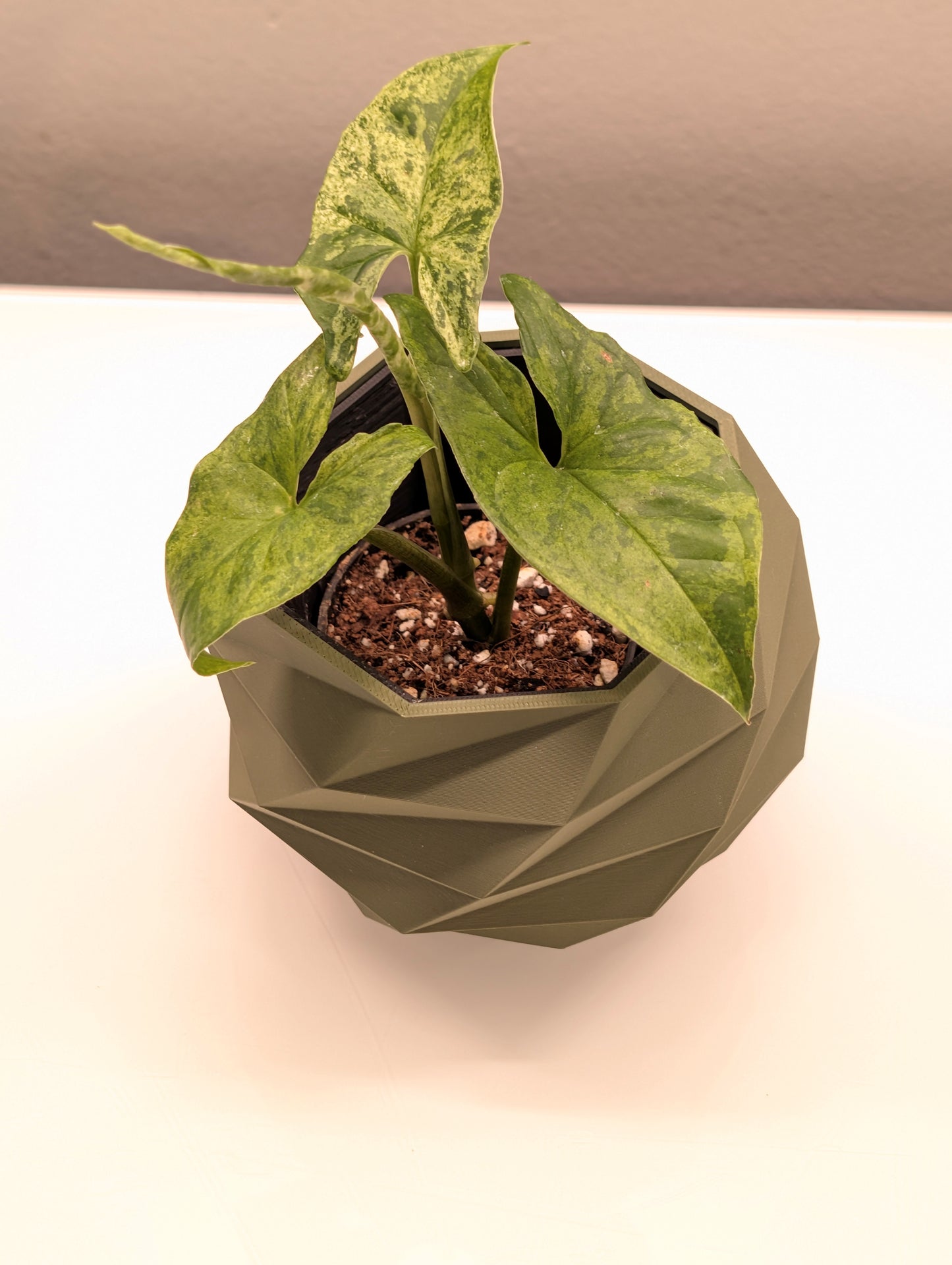 Octagonal Planter