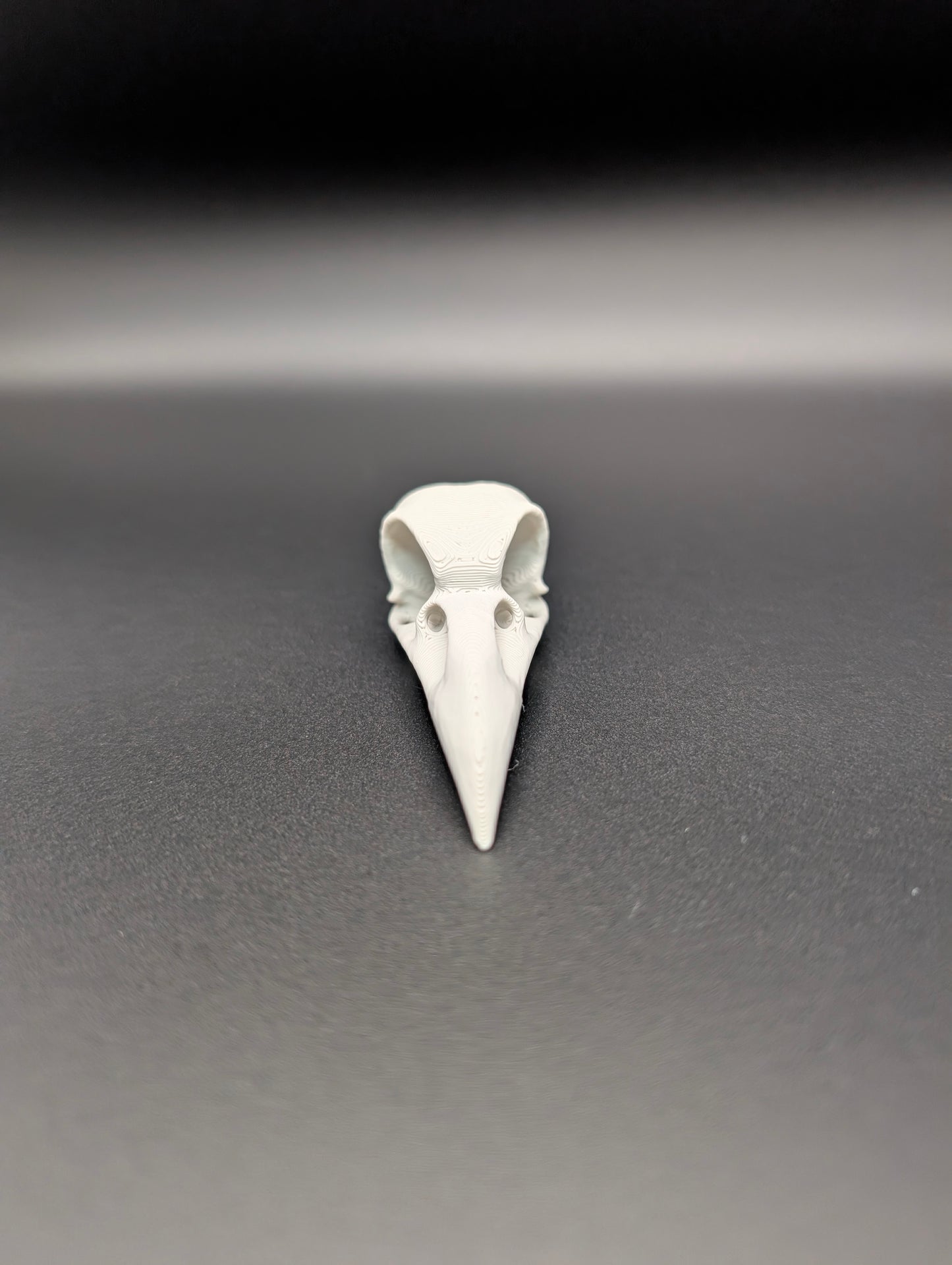Raven Skull Pendant