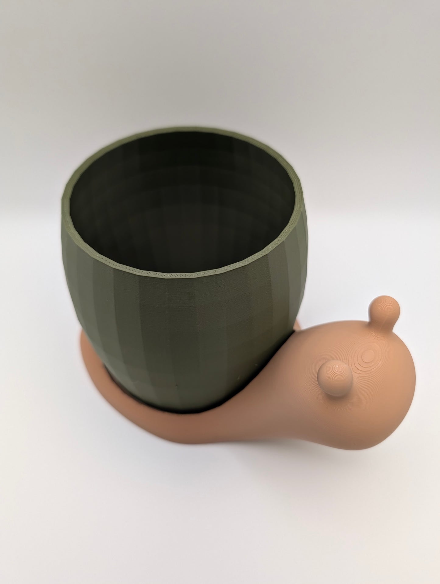 Snail Plant Pot