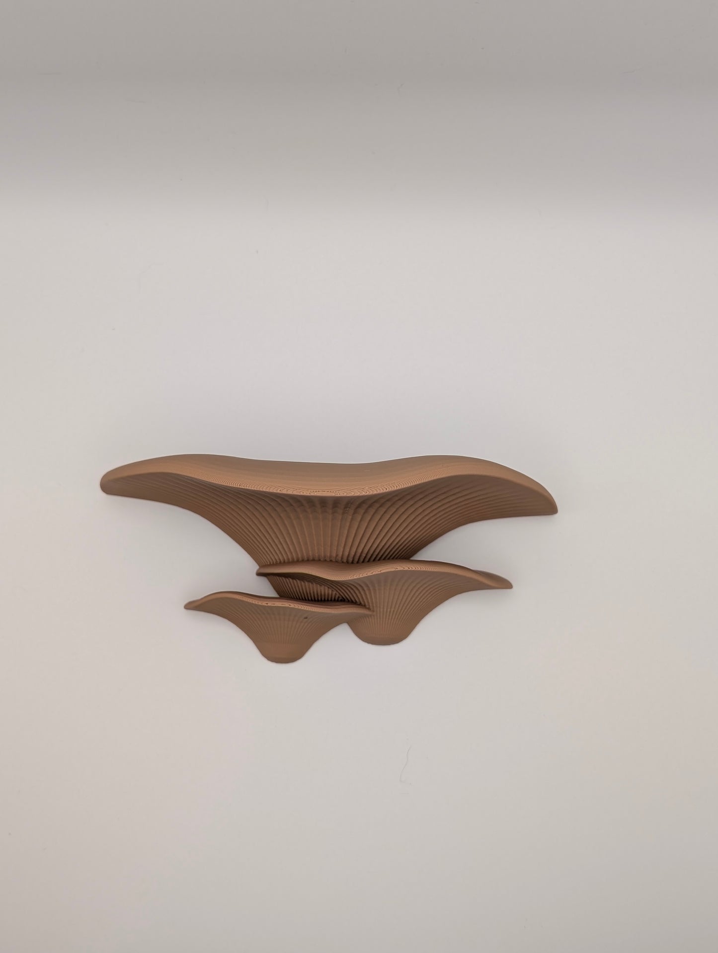 Mushroom Wall Shelf
