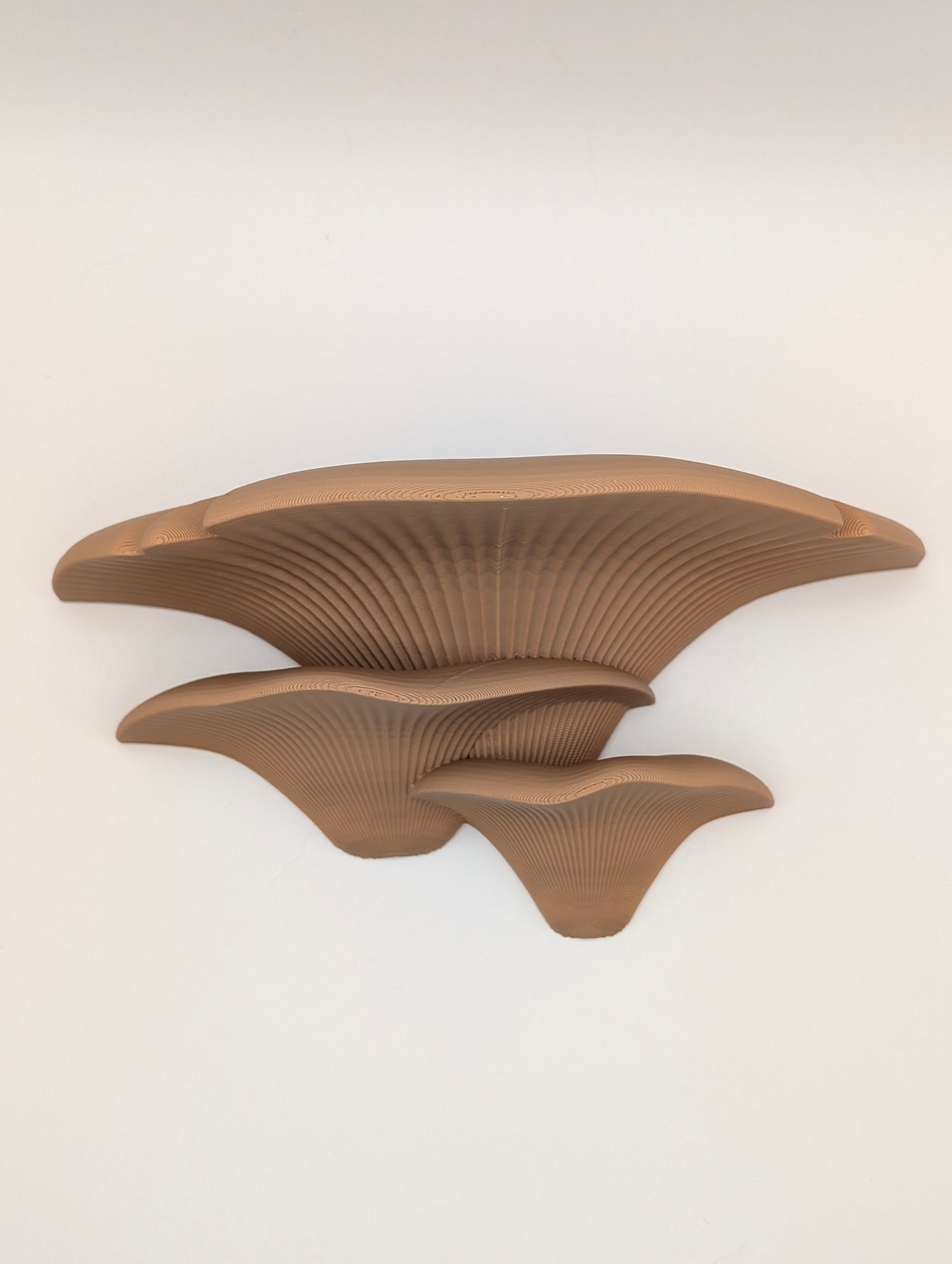 Mushroom Wall Shelf