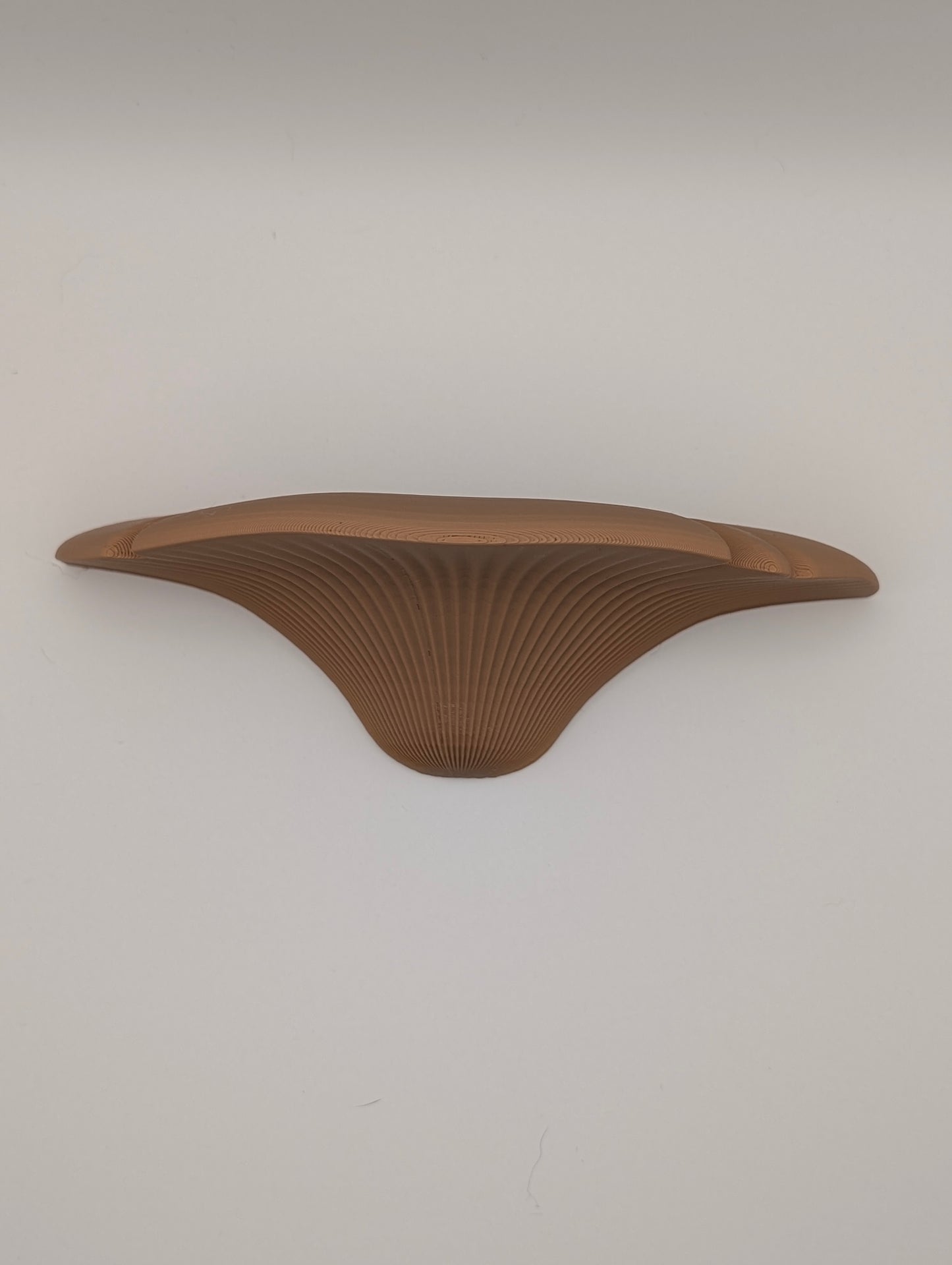 Mushroom Wall Shelf