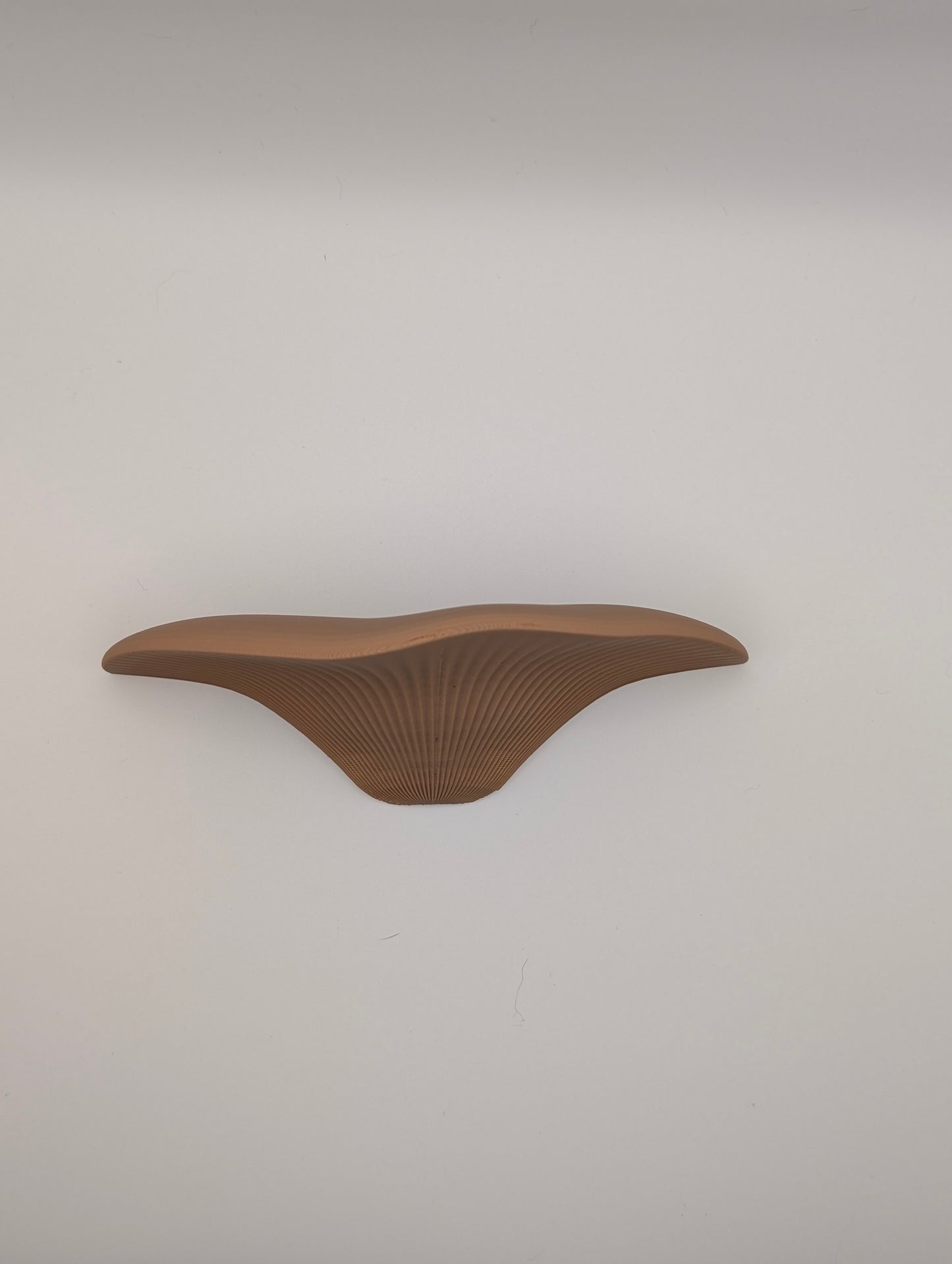 Mushroom Wall Shelf