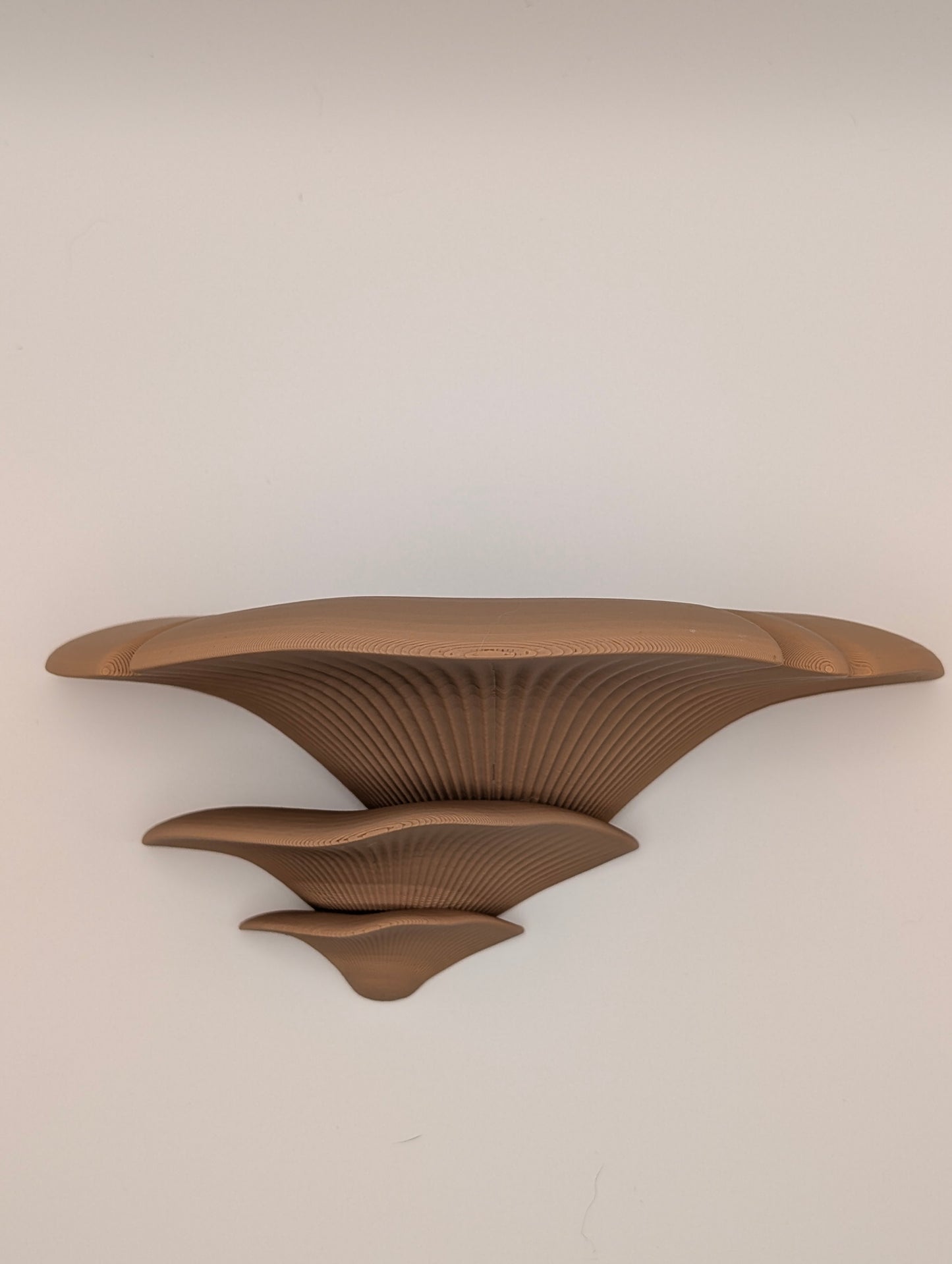 Mushroom Wall Shelf