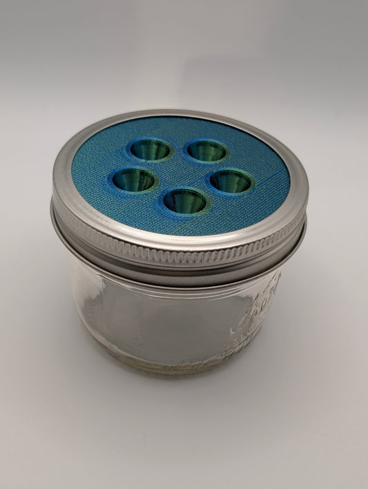 Fruit Fly Trap