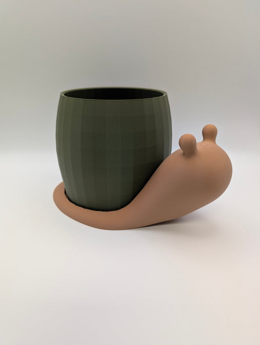 Snail Plant Pot